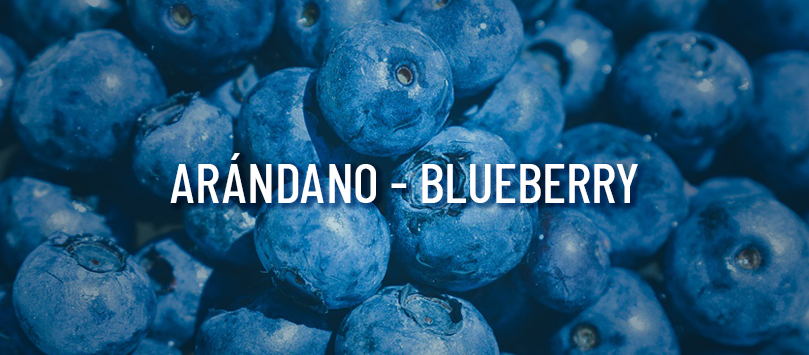 Tendencias 2020: ARÁNDANO – BLUEBERRY
