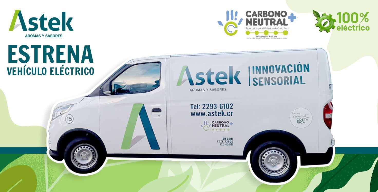 AutomovilElectrico-Astek AutomovilElectrico-Astek